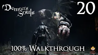 Demon's Souls Remake - Walkthrough Part 20: Character Tendency