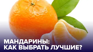 Как выбрать МАНДАРИНЫ?