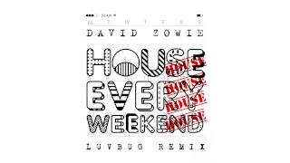 David Zowie - House Every Weekend (LuvBug Remix)