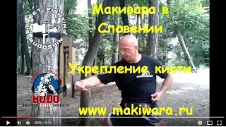 5. Макивара в Словении. Кисть. Михаил Шилов