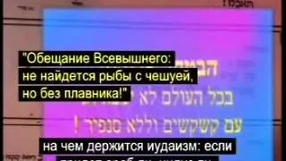 Divine Information (in Hebrew with Russian subtitles)