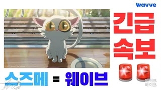 [웨이브 독점 공개 영화] 신카이 마코토 재난 3부작의 마지막! [스즈메의 문단속] 웨이브에서만 볼 수 있스즈메