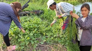 Ang ganda dito sa bukid ng tatay ko#buhayprobinsya #simplengbuhaysabukid #bukidvlog