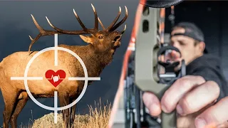 Where to SHOOT an ELK | Bowhunters Watch This