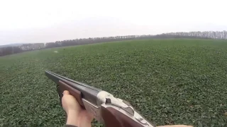 Охота на зайца | Hare hunting