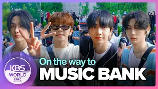 [4K] ZEROBASEONE, BOYNEXTDOOR, DOYOUNG, n.SSign, LEE JIN HYUK | On the way to music bank 240426