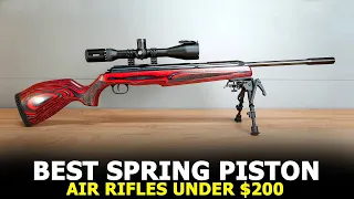 Top 10 Best Spring Piston Air Rifle for $200 & Under