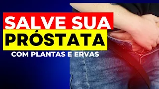 Descubra as Ervas Milagrosas que Salvam sua Próstata - Previna e Reduza Doenças da PRÓSTATA