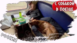 Переезд с собакой в поезде // Начало большого путешествия // Влог