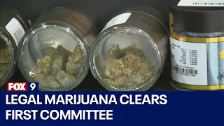 Legal marijuana clears first Minnesota House committee