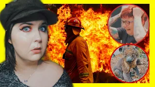 THE HORRIFIC STORY OF THE AUSTRALIAN BUSHFIRES!! (HELP)