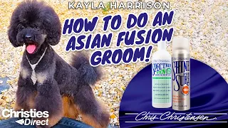 How to do Asian Fusion Dog Grooming | Kayla Harrison | Prepped using Chris Christensen