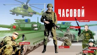 Программа "ЧАСОВОЙ" / "ЗАСТАВА" 2017 г.