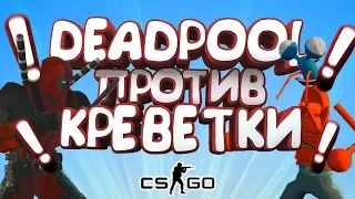 ДЭДПУЛ И КРЕВЕТКИ 🦐 CS:GO Тролль Прятки (КС ГО Маньяк)