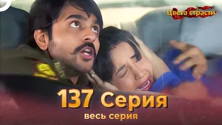 Цвета Страсти Индийский сериал 137 Серия | Русский Дубляж