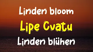 Bijelo Dugme Lipe Cvatu Deutsch & English lyrics HQ 2023 Video