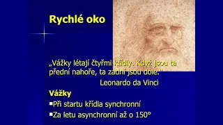 Pátky s vědou - Jaroslav Petr "Desatero smyslů"