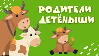 Домашние ЖИВОТНЫЕ и их ДЕТЕНЫШИ Развивающие мультики