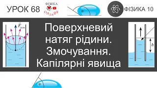 Фізика 10. Урок-презентація «Поверхневий натяг рідини. Змочування. Капілярні явища»