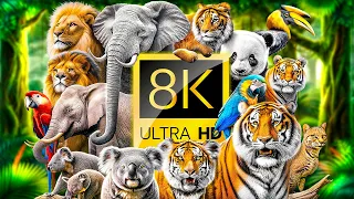 ANIMAL UNIVERSE 60FPS 8K ULTRA HD