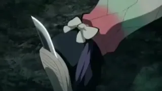 demon slayer Giyuu slaps Shinobu