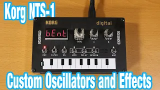 Korg NTS-1 Custom Oscillators and Effects