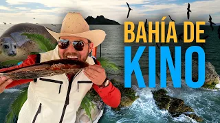 ¿La playa mas VISITADA de Sonora? | BAHÍA DE KINO, HERMOSILLO