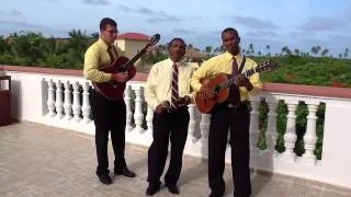 Caribbean trio at Dreams Punta Cana