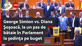 George Simion vs. Diana Şoşoacă, la un pas de bătaie în Parlament la şedinţa pe buget