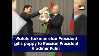 Watch: Turkmenistan President gifts puppy to Russian President Vladimir Putin - ANI News