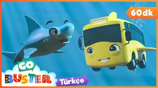 Buster ve Köpek Balığı 🌊 | Go Buster Türkçe - Çocuk Çizgi Filmleri