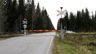 Freight train T 3367 passed Vatia (Km. 0411+0756) level crossing in Laukaa, Finland