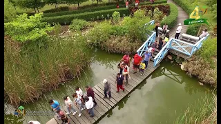 Jardín Botánico de Santiago: 4 años del Jardín de todos.