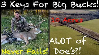 3 Things A Small Hunting Property NEEDS For Big Bucks! Deer Habitat and Doe’s On Small Farms!