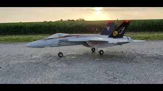 Freewing F/A-18E Super Hornet V2 90mm EDF Thrust Vectoring Jet /4K