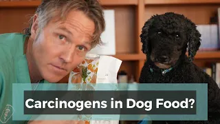 Carcinogens in Dog Food