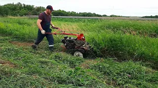 Скосить сено мотоблоком, ЛЕГКО!!! Сенокос мотоблоком. Сезон 2023