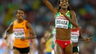 Genzebe Dibaba wins the women's 1500m final during the  IAAF world cup Beijing 2015