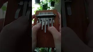 Hokema B11 Melody Elektro Improvisation