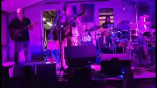 "Gold Dust Woman" cover Amanda Fish Band at Deb's Blues Farm 21st Anniversary