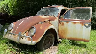 1965 VW Beetle Rescue - Sitting in a feild for 40 years