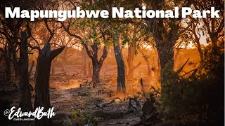 In Search Of Africa’s Giants | Mapungubwe National Park | Limpopo Episode 2
