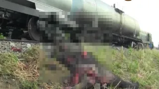 Four elephants killed in train collision