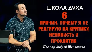 ШКОЛА ДУХА «6 причин, почему я не реагирую на критику, ненависть и проклятия» Андрей Шаповалов.