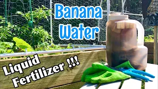 HOW TO MAKE BANANA PEEL FERTILIZER 🍌 | STEP BY STEP WITH INSTRUCTIONS AND TIPS!