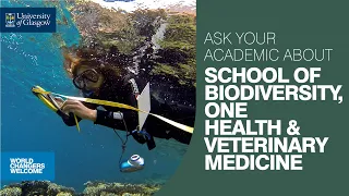 Ask Your Academics about MSc programmes within the School of Biodiversity, One Health & Vet Medicine