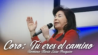 Coro: Tu eres el camino, Hna María Luisa Piraquive