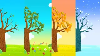 Four seasons - BongoBongo TV  | four seasons song | seasons song for kids | seasons song