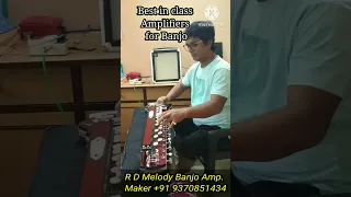 Banjo Amplifier, Professional Amp