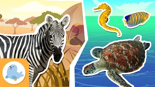 TERRESTRIAL AND AQUATIC HABITATS for Kids🌲💧 Deserts, Jungles, Rivers, Oceans and More 🌄🌊 Compilation